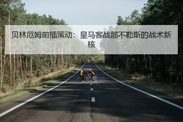 bei-lin-e-mu-qian-cha-ce-dong-huang-ma-ke-zhan-na-bu-le-si-de-zhan-shu-xin-he-2-131.jpg