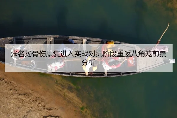 张名扬骨伤康复进入实战对抗阶段重返八角笼前景分析