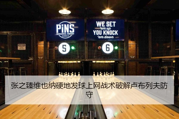 张之臻维也纳硬地发球上网战术破解卢布列夫防守